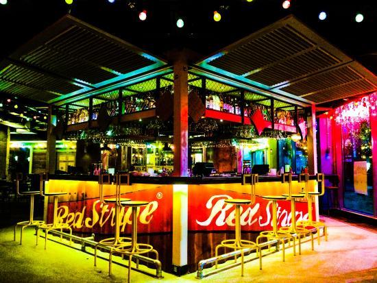 Turtle Bay