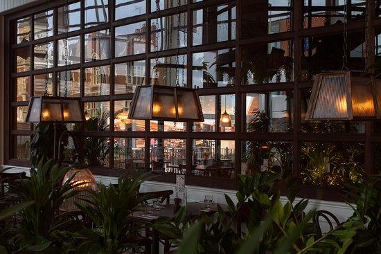 The Botanist