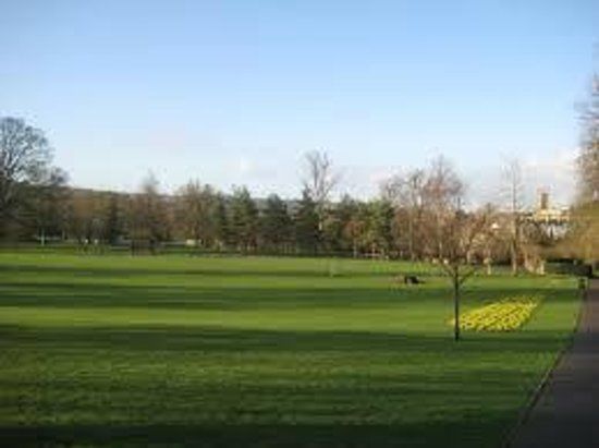 Alice Park