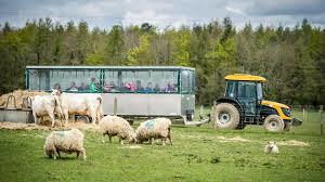Cotswold Farm Park