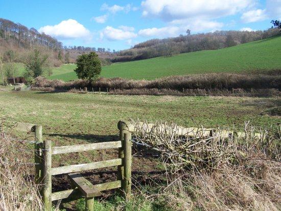 Cotswold Guided Walks Ltd