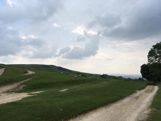 Cleeve Hill Golf Club
