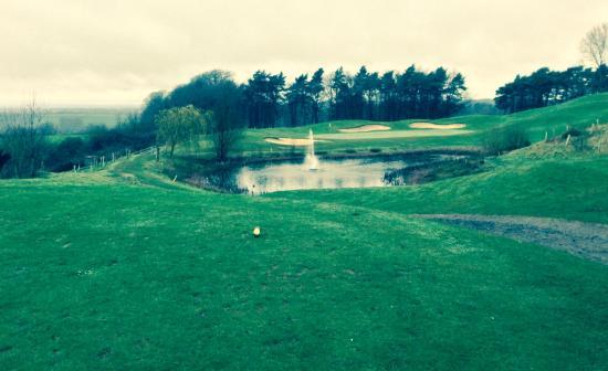 Golf at Tracy Park