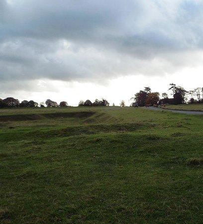 Minchinhampton Common