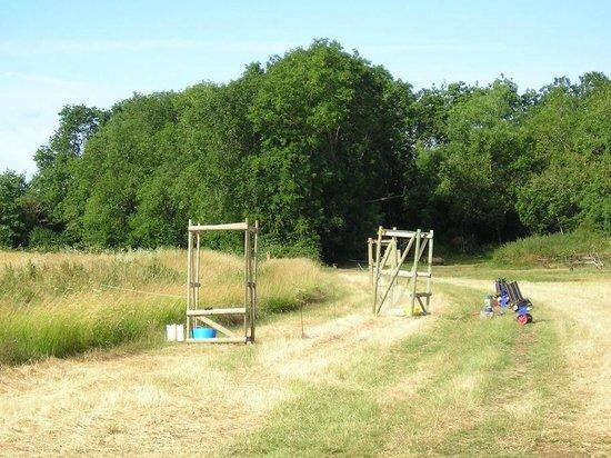 Old Downs Pursuits