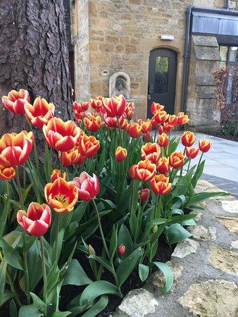 Cotswold Walks