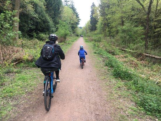 Family Cycle Trail