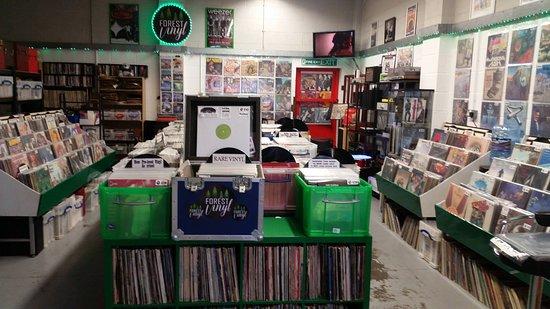 Forest Vinyl