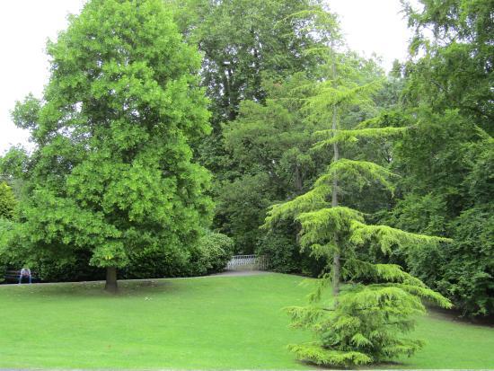 Sydney Gardens