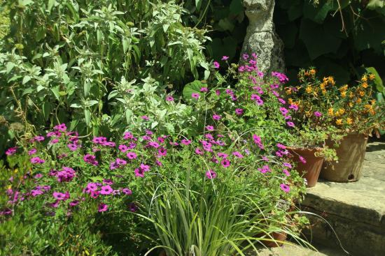 The Courts Garden