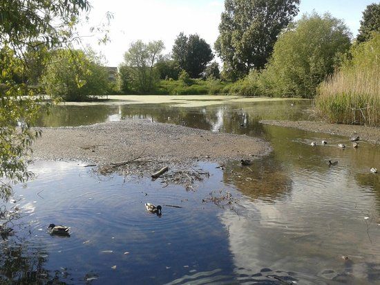 Saintbridge Balancing Pond