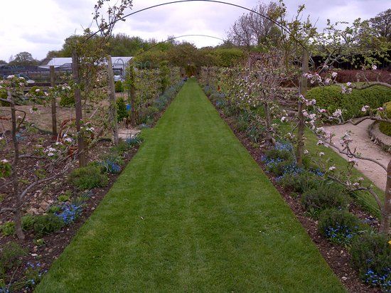 Bridewell Organic Gardens