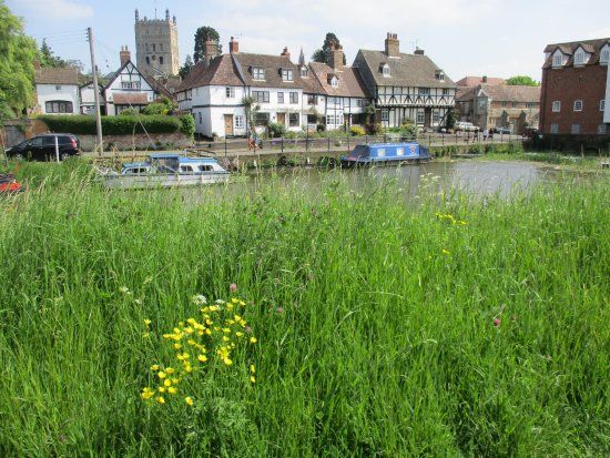 The Severn Ham